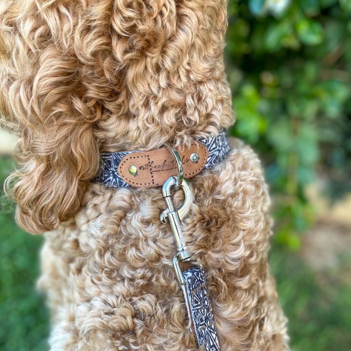 Leather Dog Collar - Mina Mina