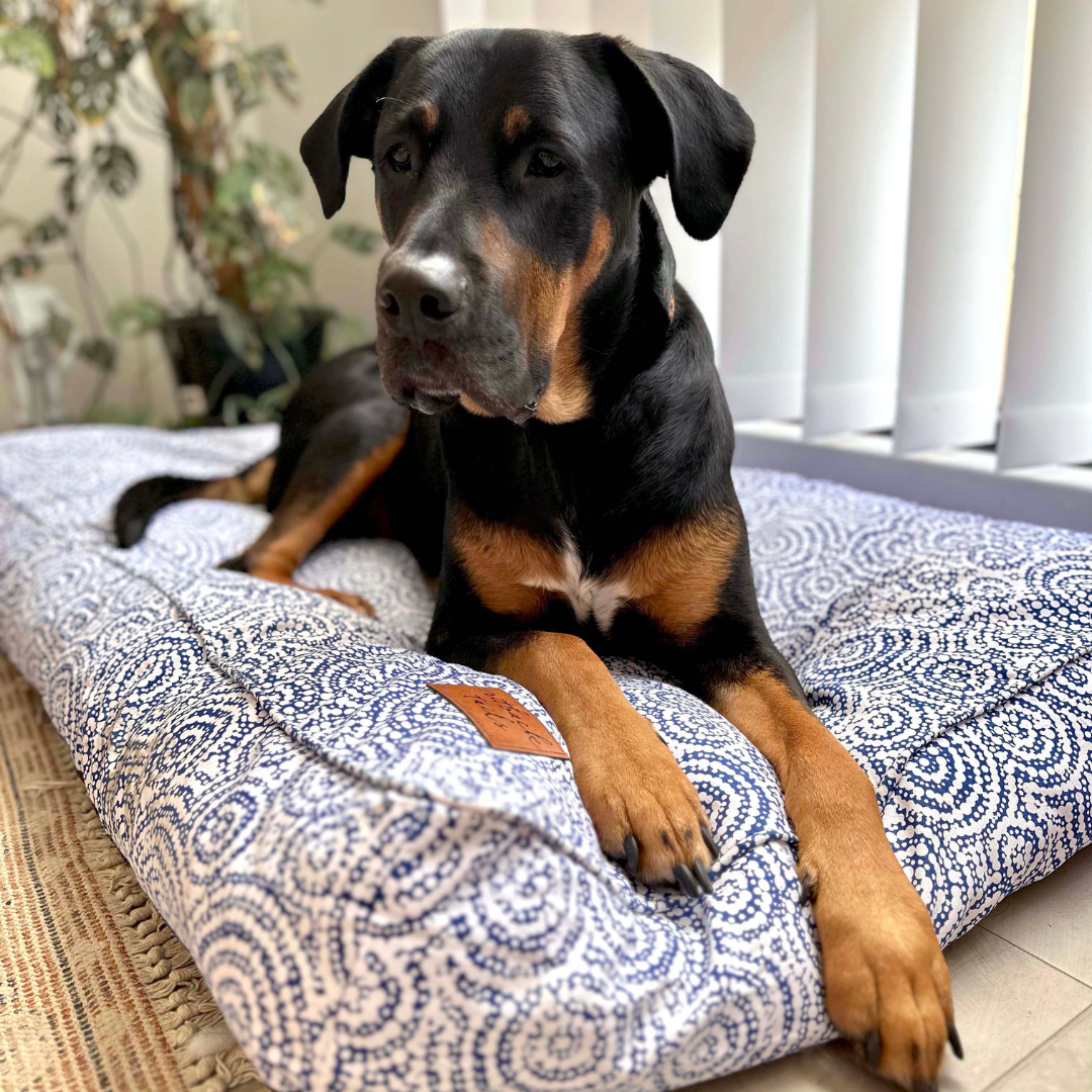 Rectangular Therapeutic Dog Bed - Ngama