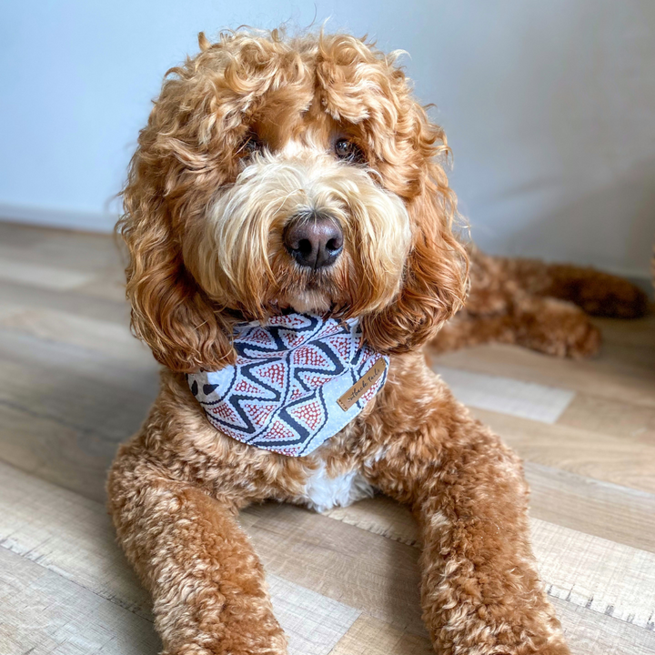 Dog Bandana - Vaughan Springs