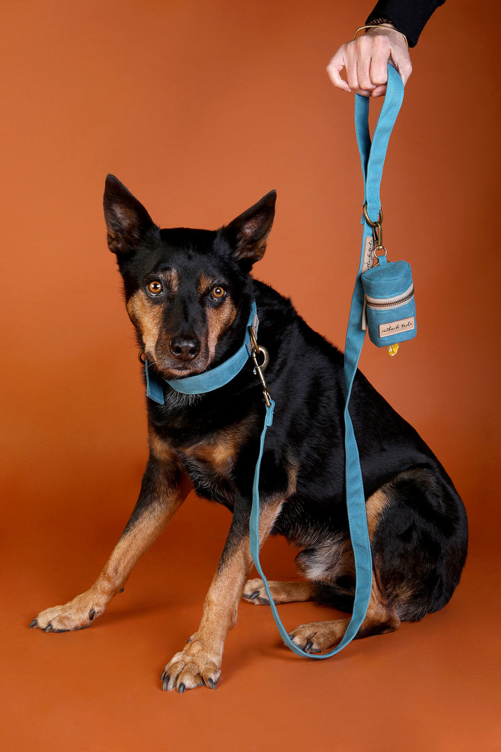 Waxed Canvas Pick-Up Bag Holder - Blue