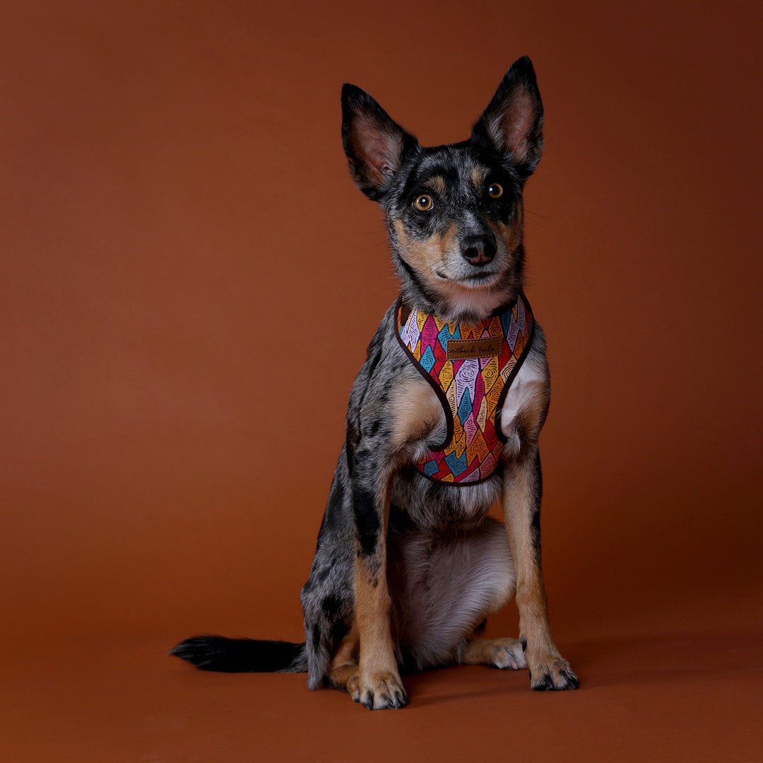 Canvas Dog Harness - Sand Dunes