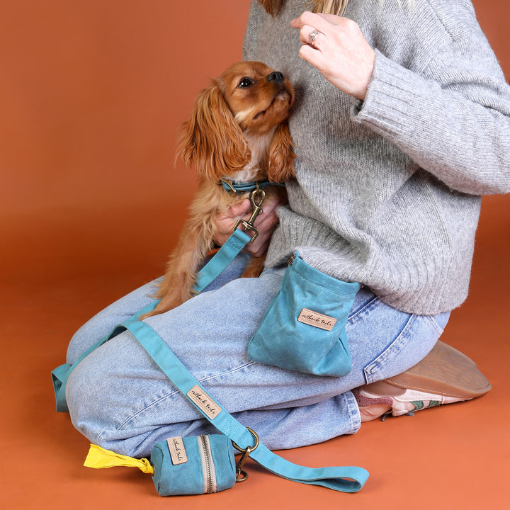 Waxed Canvas Dog Lead - Blue