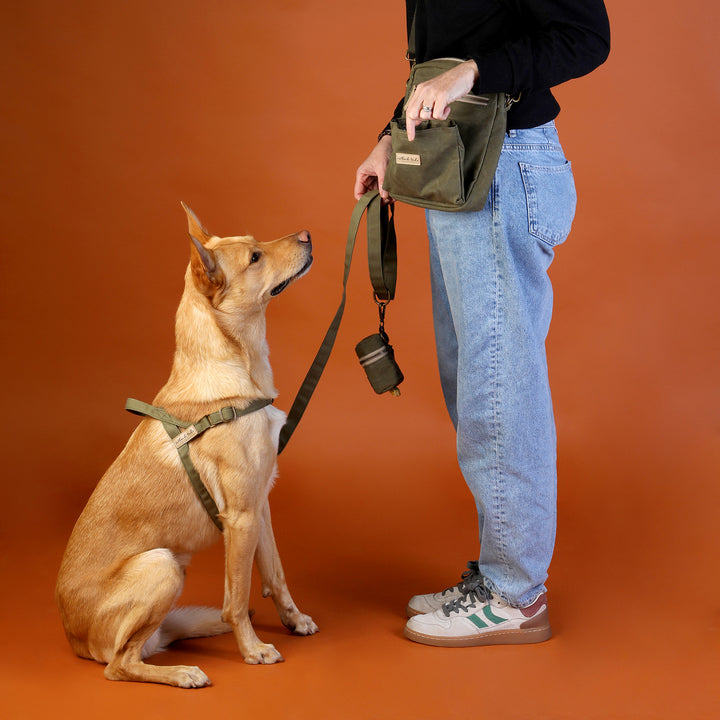 Waxed Canvas Satchel - Green