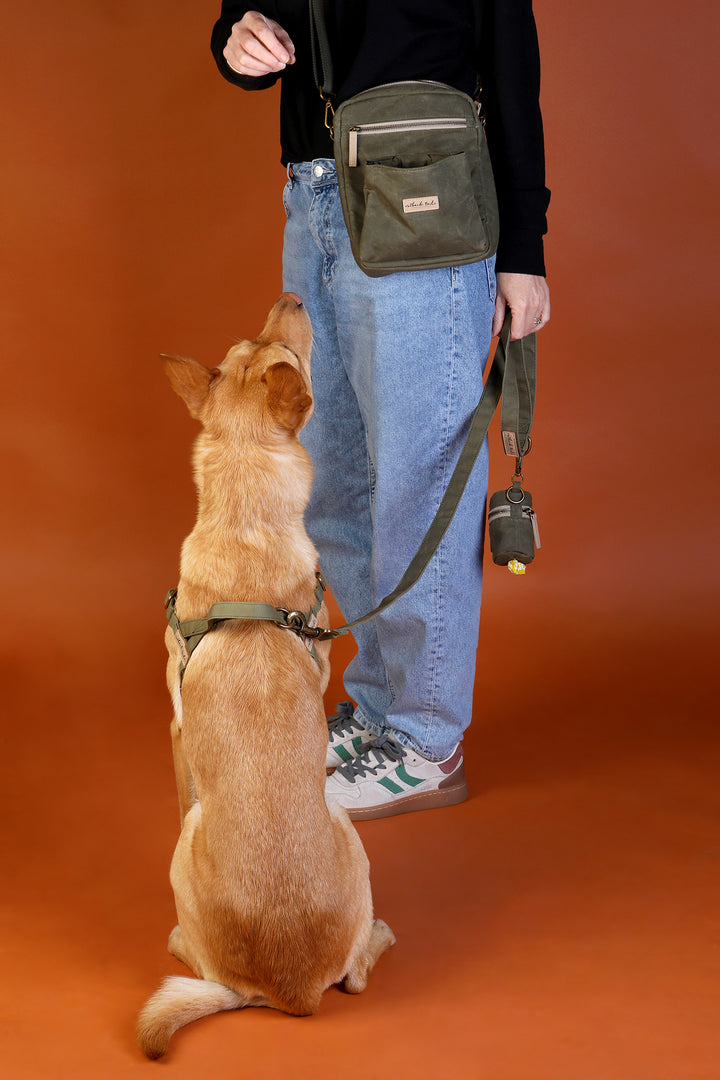 Waxed Canvas Satchel - Green