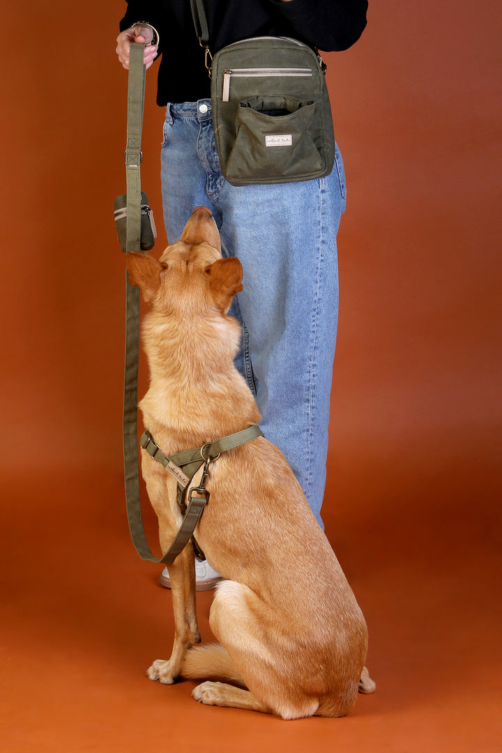 Waxed Canvas Satchel - Green