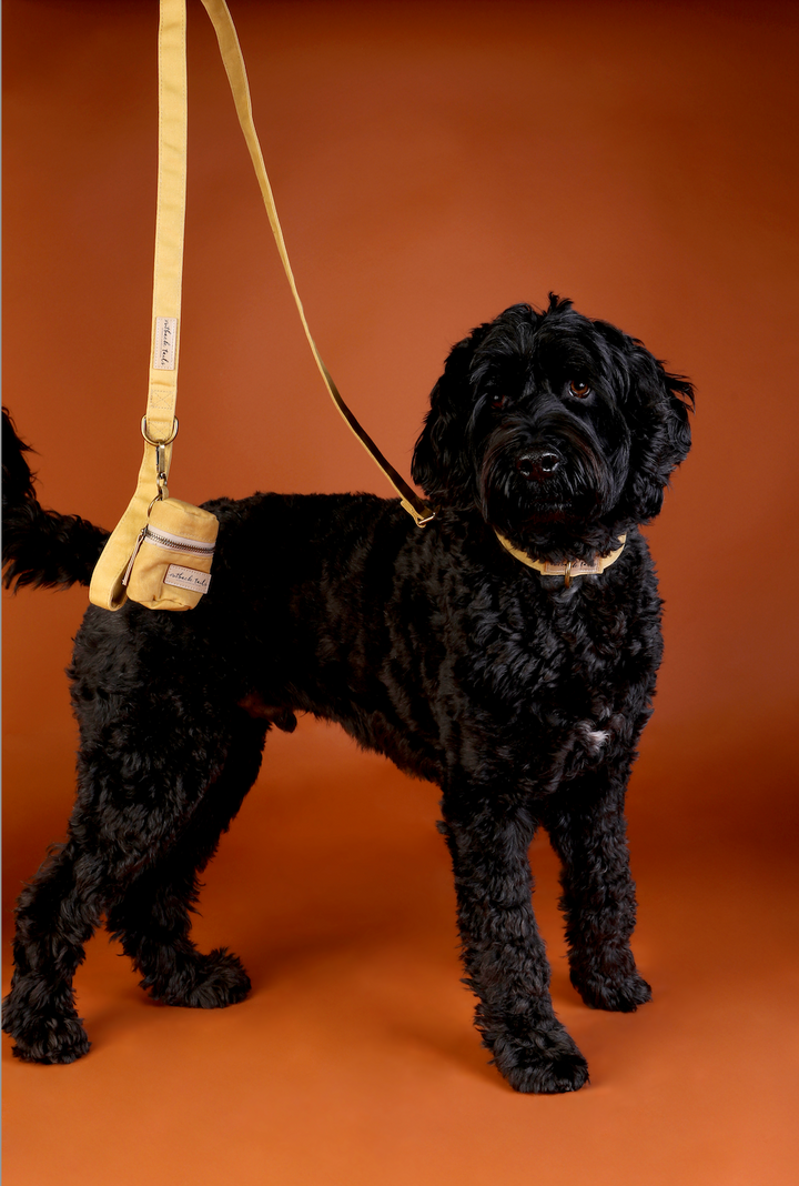 Waxed Canvas Dog Lead - Yellow