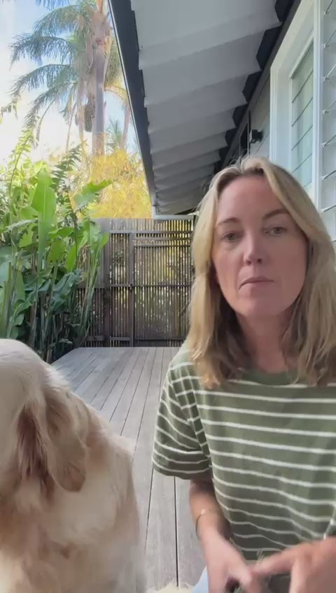 Waxed Canvas Dog Harness - Green