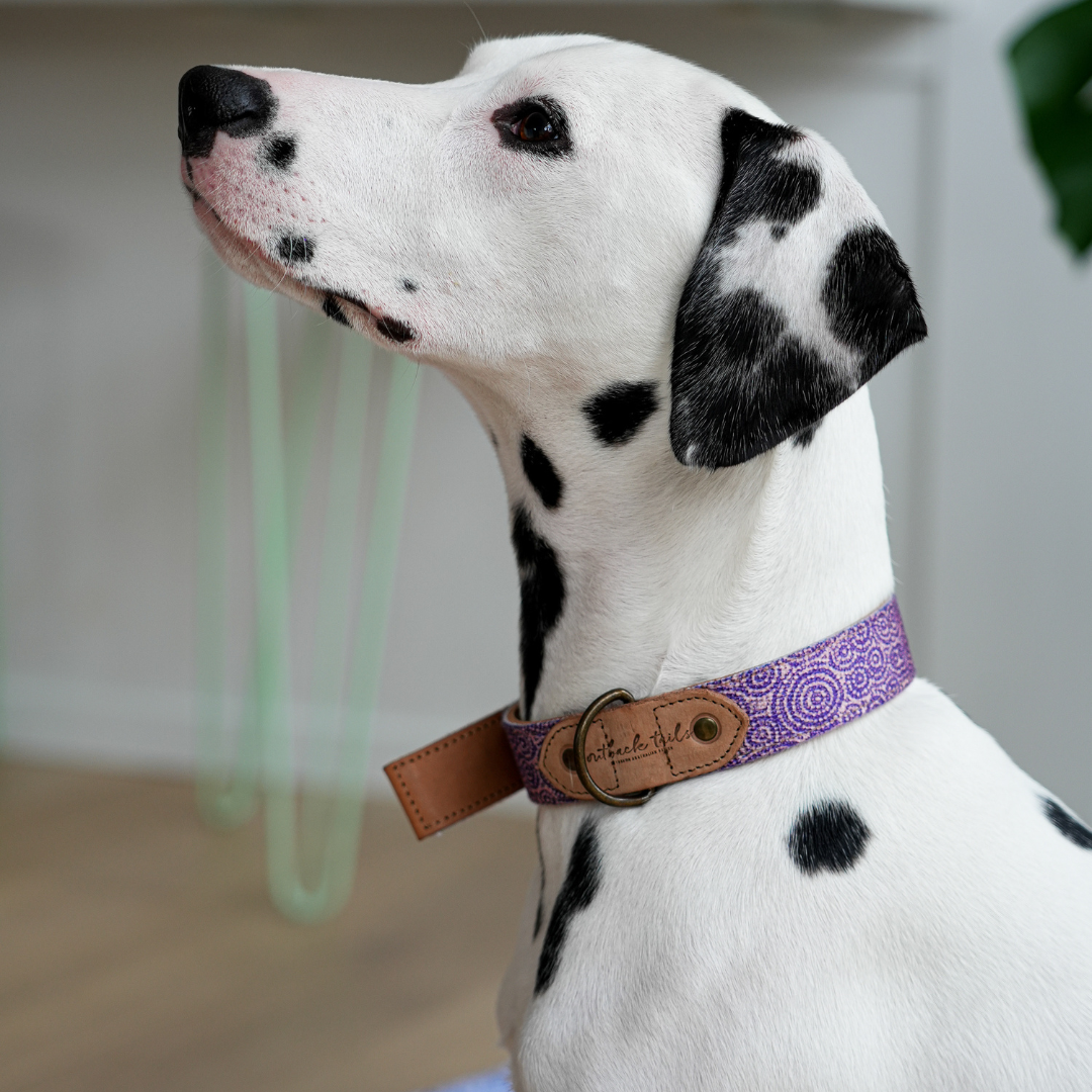 Leather Dog Collar - Ngama