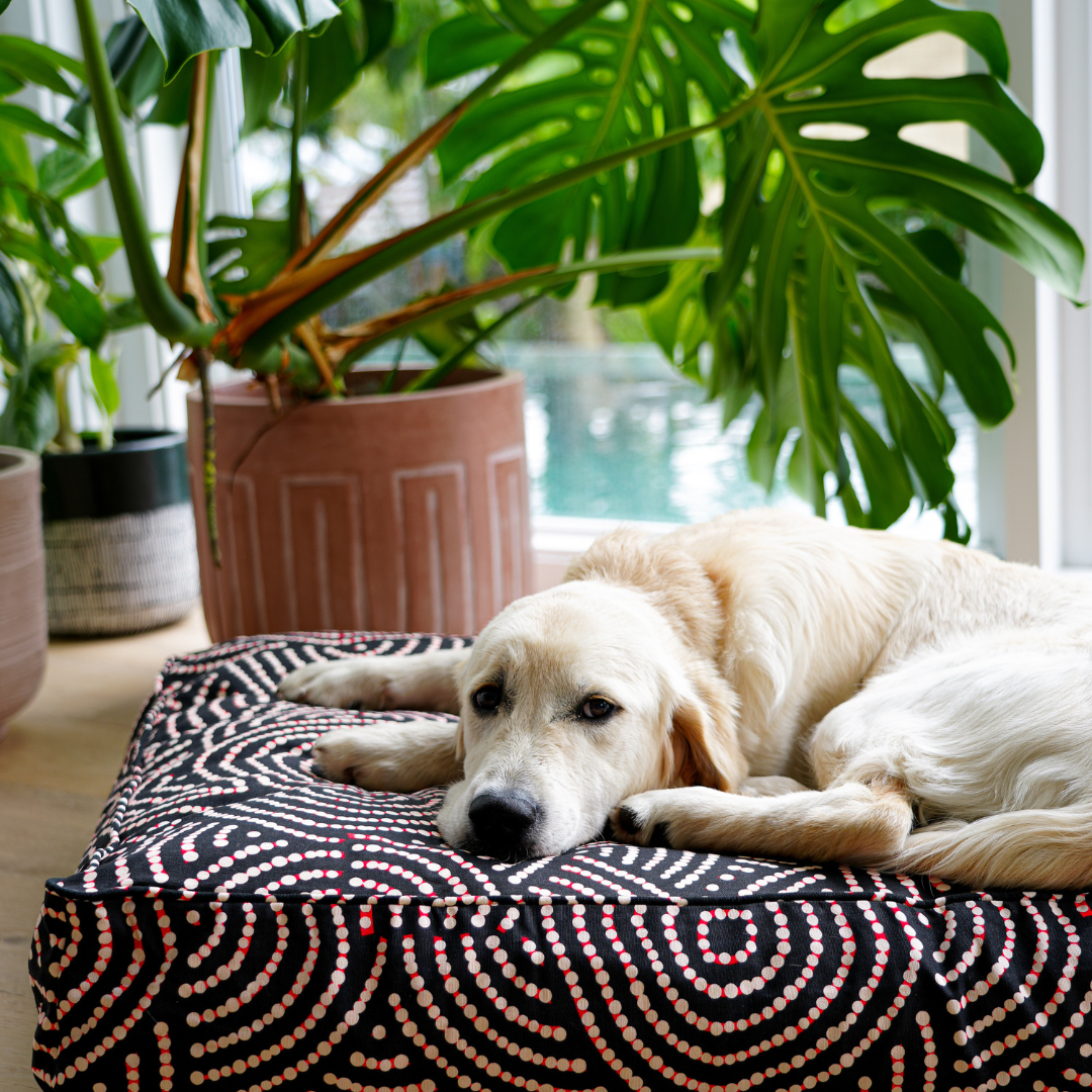 Rectangular Therapeutic Dog Bed - Fire Country Dreaming