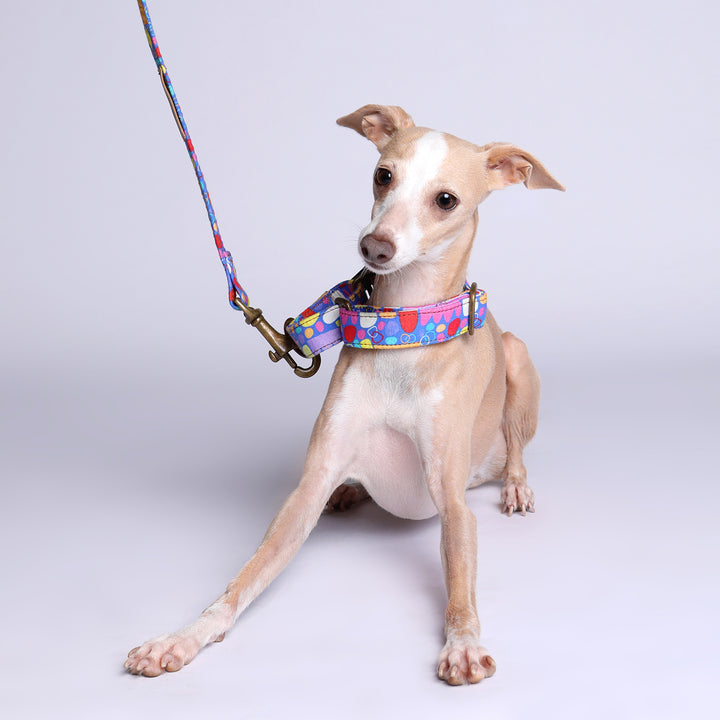 Martingale Collar - Mina Mina