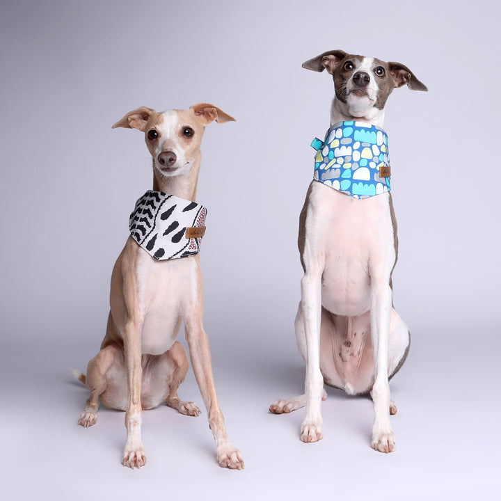 Dog Bandana - Puli Puli (Colourful)