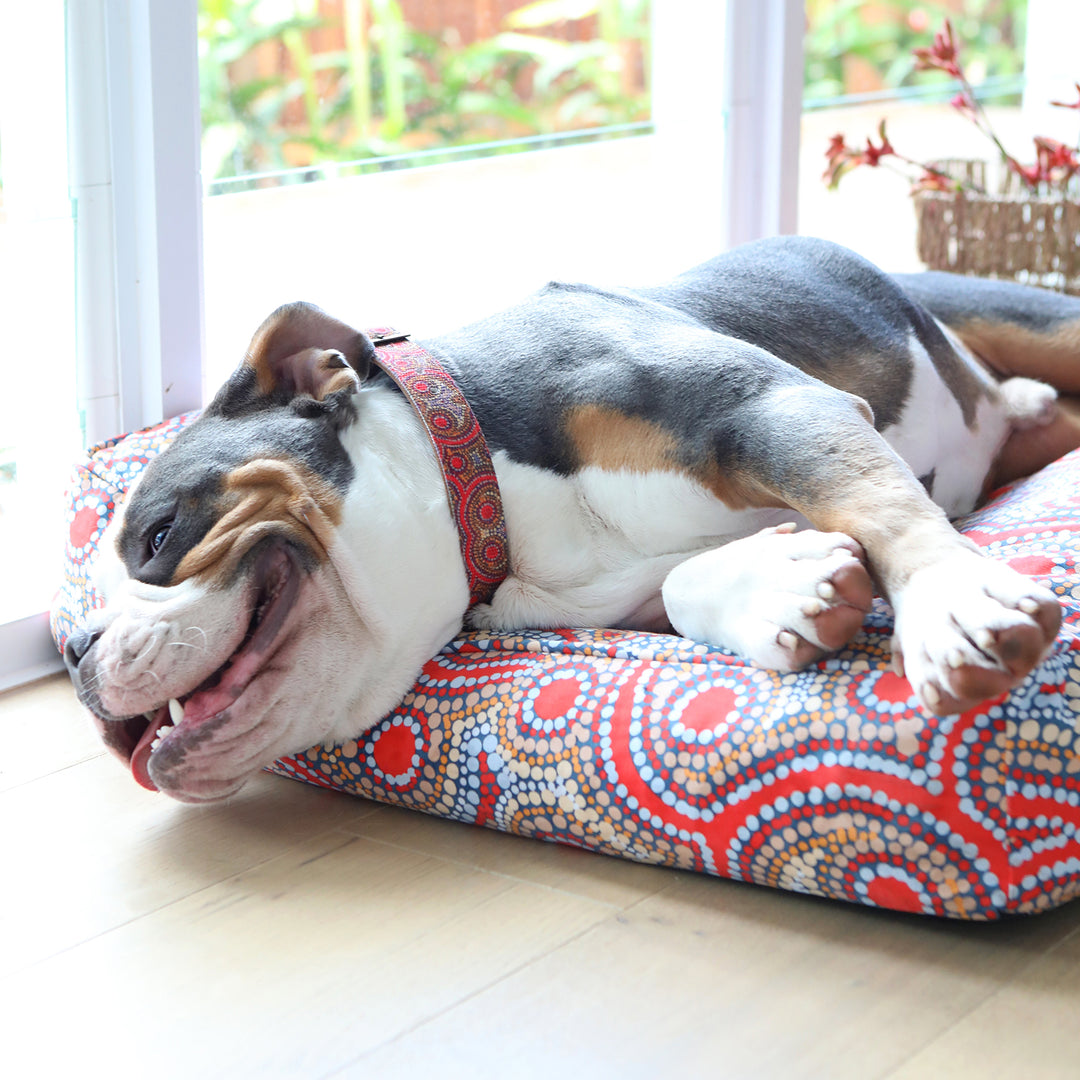 Rectangular Therapeutic Dog Bed - Snake Dreaming