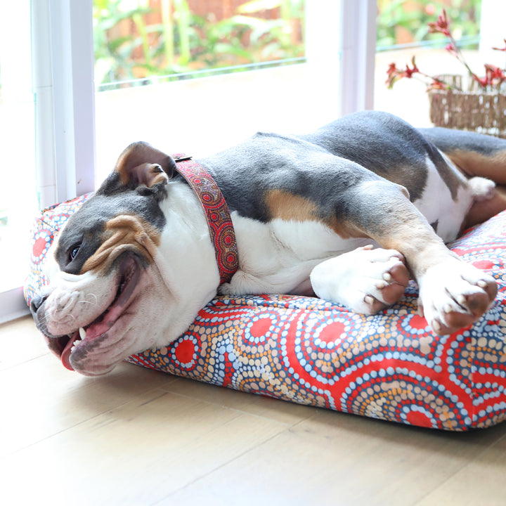 Rectangular Therapeutic Dog Bed - Snake Dreaming