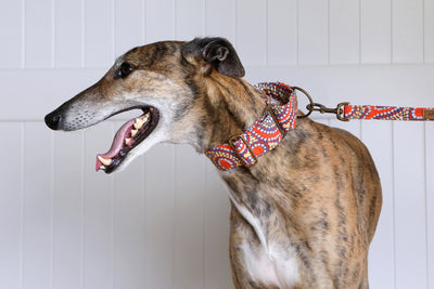 Martingale Collar - Water Dreaming