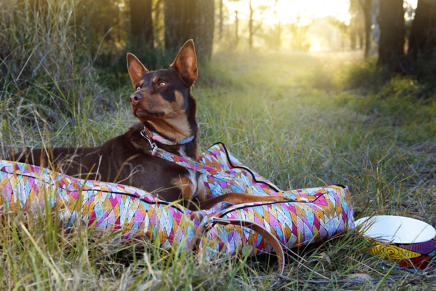 Dog Bed Cover - Sand Dunes