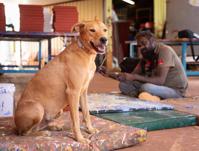 The important role dogs play in Indigenous communities – celebrating NAIDOC Week 2022