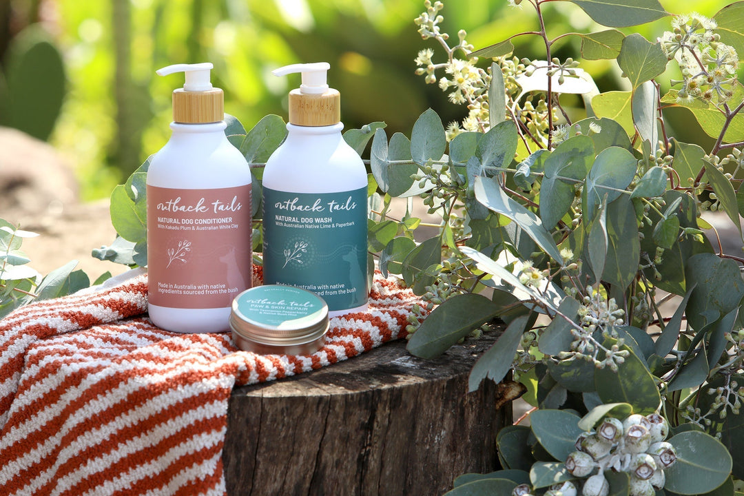 Why Grooming Matters