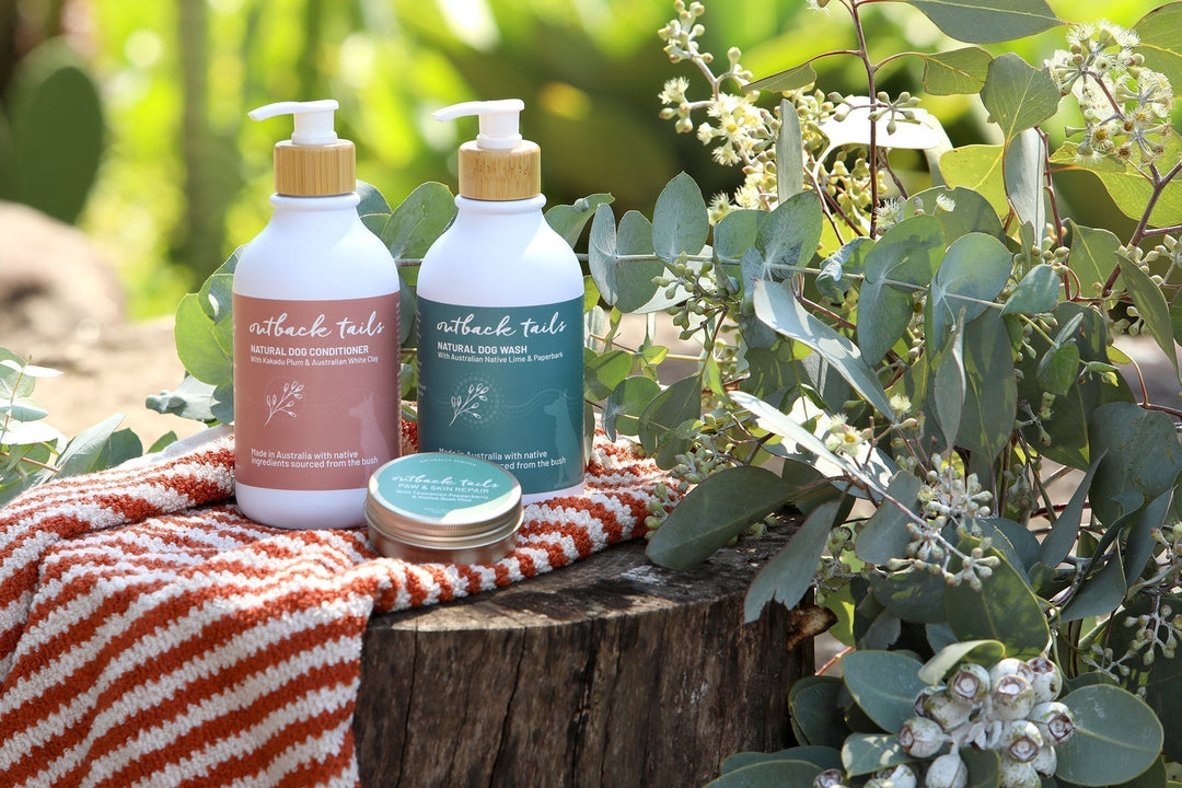 Why Grooming Matters With Outback Tails