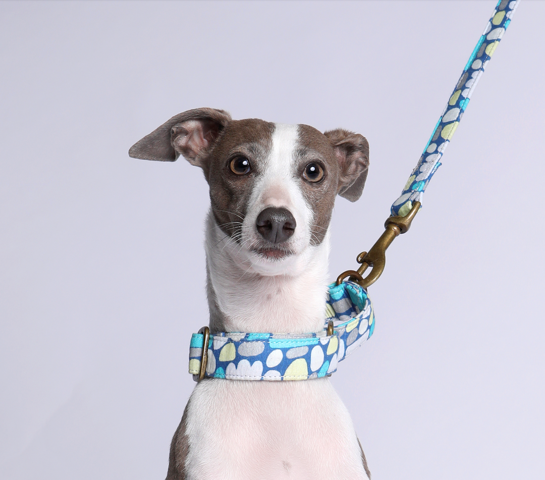 What Is a Martingale Collar?