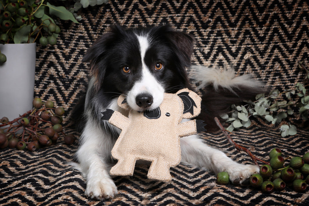 What Dog Toy Is Best For My Pup?