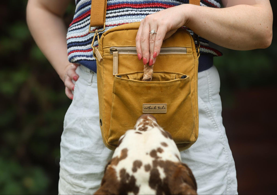 How to Choose the Best Dog Walk Bag