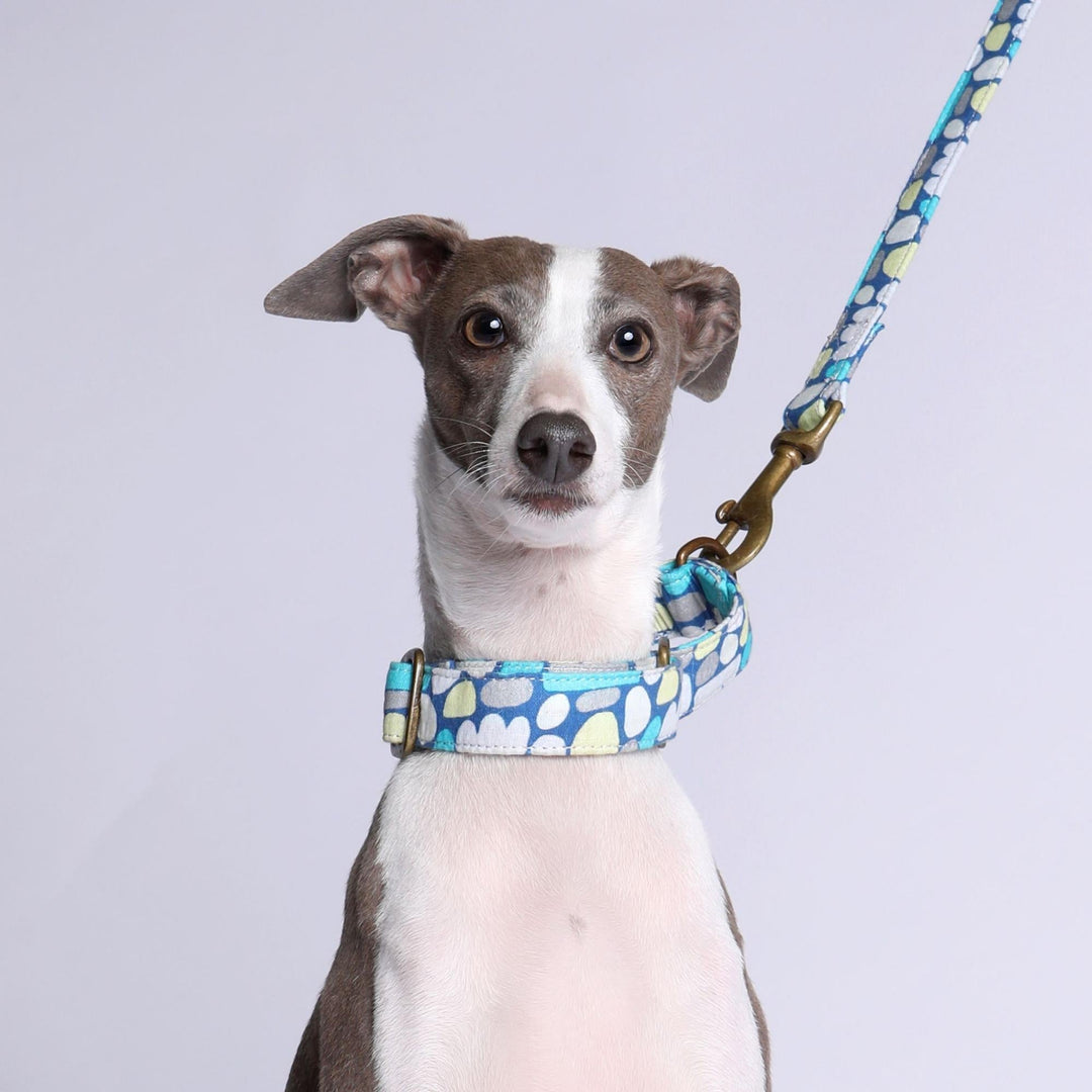 How to Use a Martingale Collar