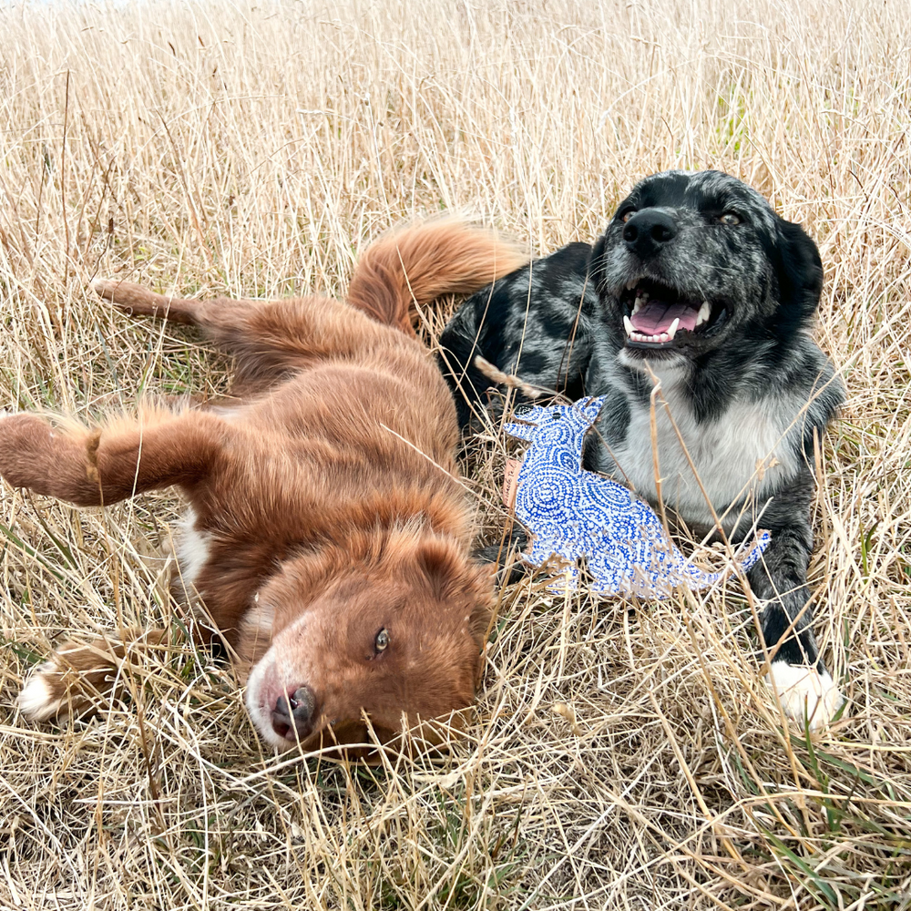 Desert Dog Chew Toy - Stinky