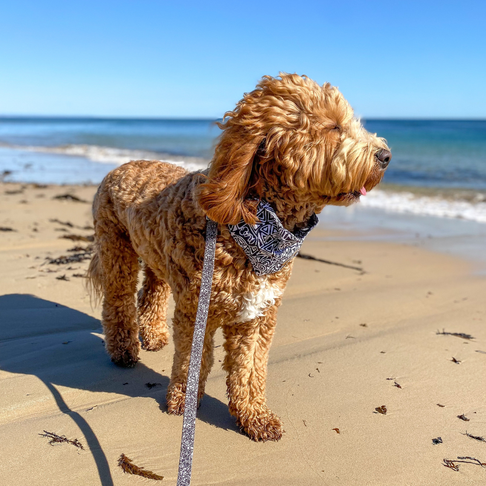 Dog Bandana - Mina Mina