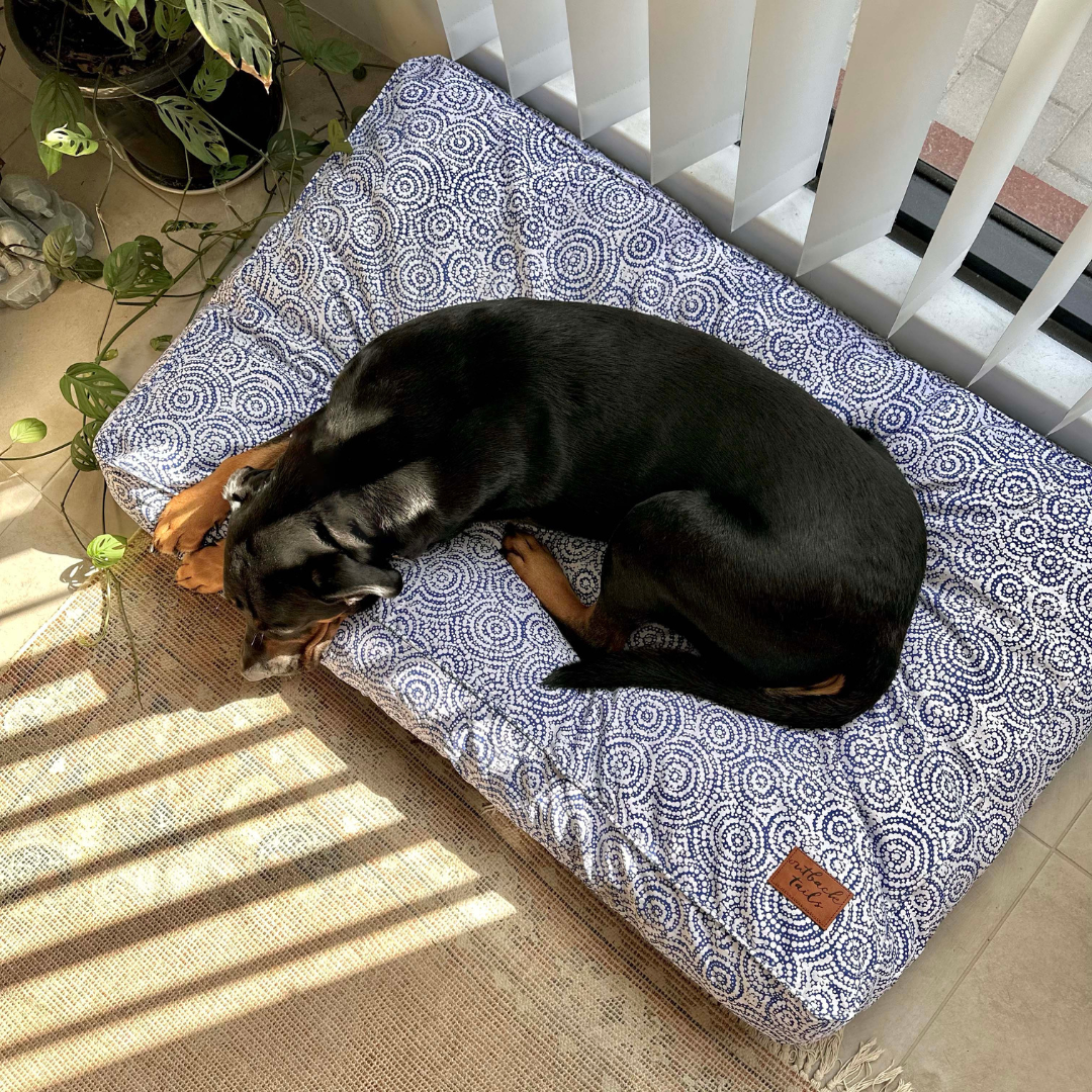 Rectangular Therapeutic Dog Bed - Ngama