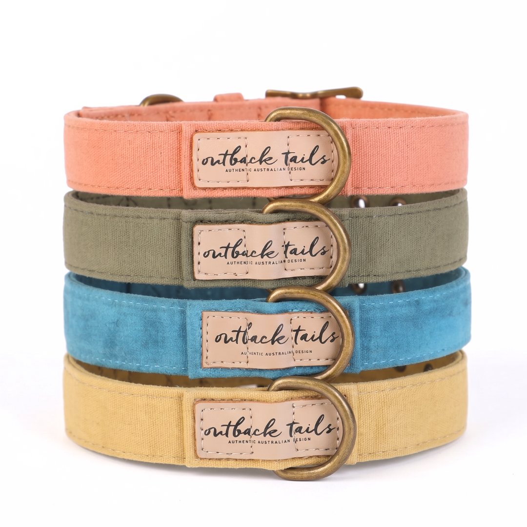 Waxed Canvas Dog Collar