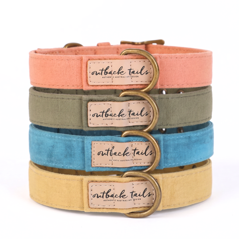 Waxed Canvas Dog Collar
