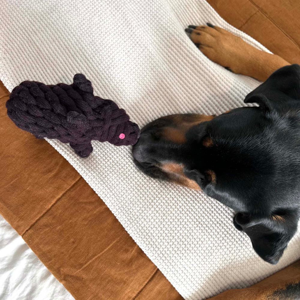 Outback Animal Toy - Wazza The Wombat