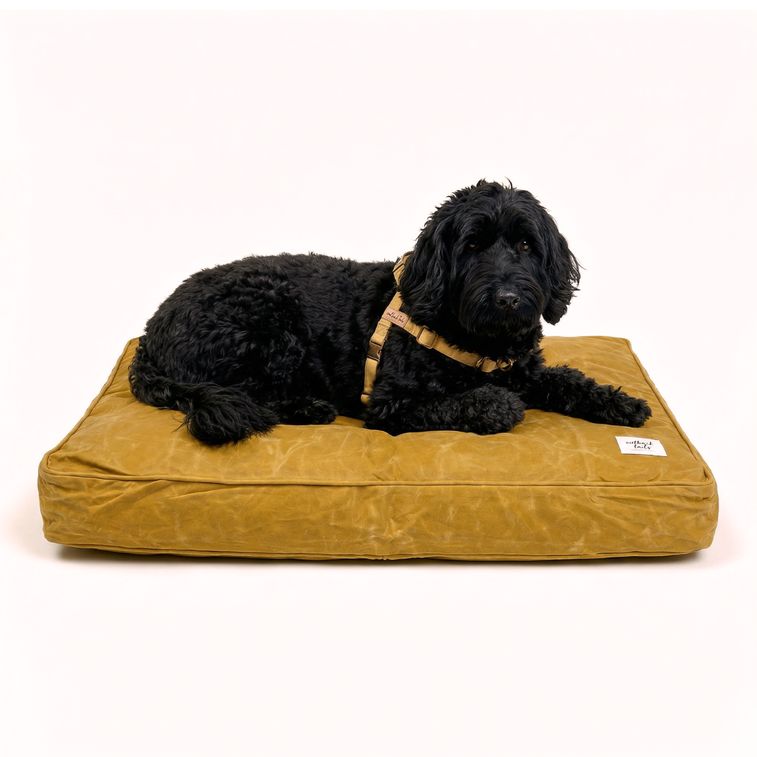 Waxed Canvas Dog Bed