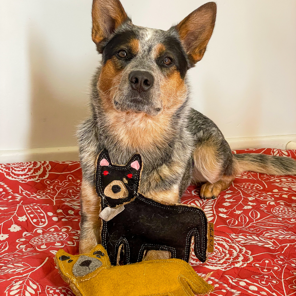 Outback Felt Toy - Tassie Devil