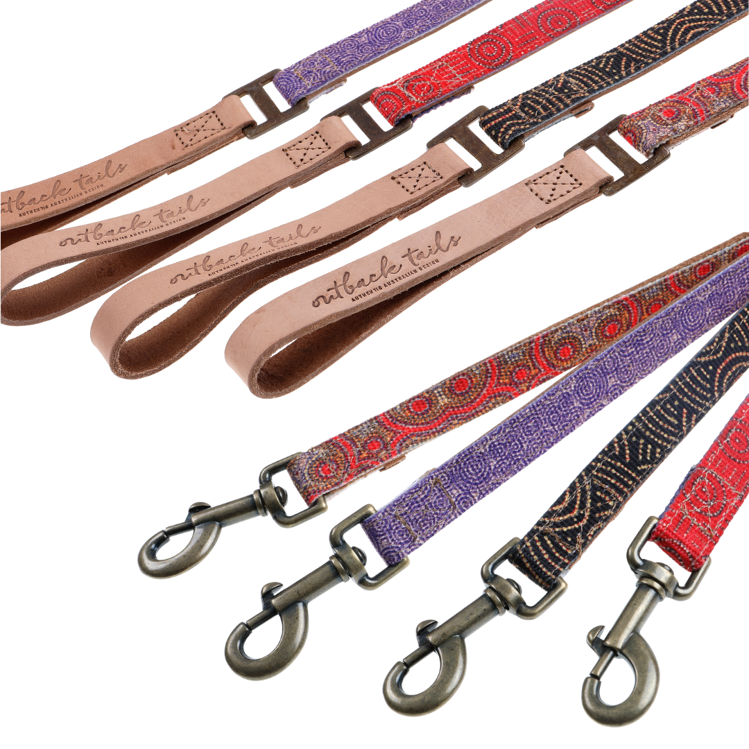 Leather Dog Lead