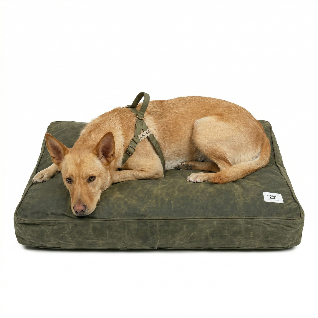 Waxed Canvas Dog Bed