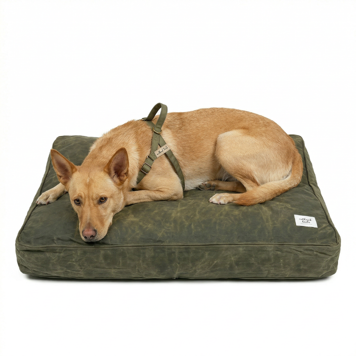 Waxed Canvas Dog Bed
