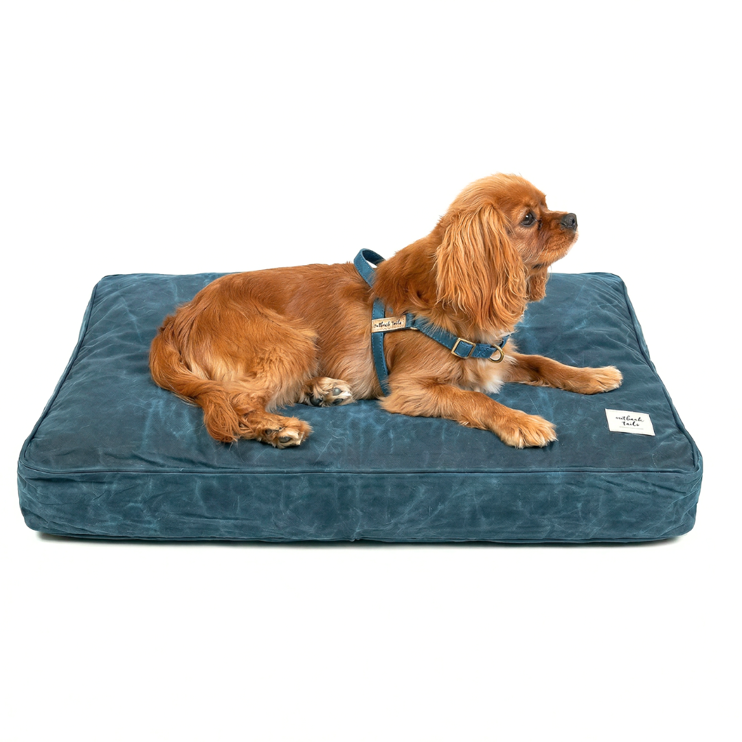 Waxed Canvas Dog Bed