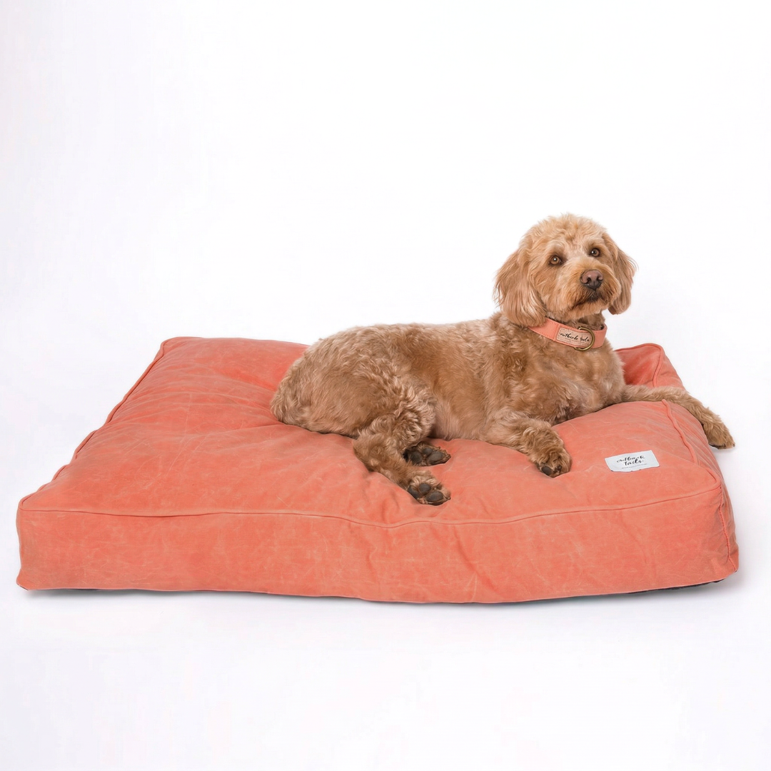 Waxed Canvas Dog Bed