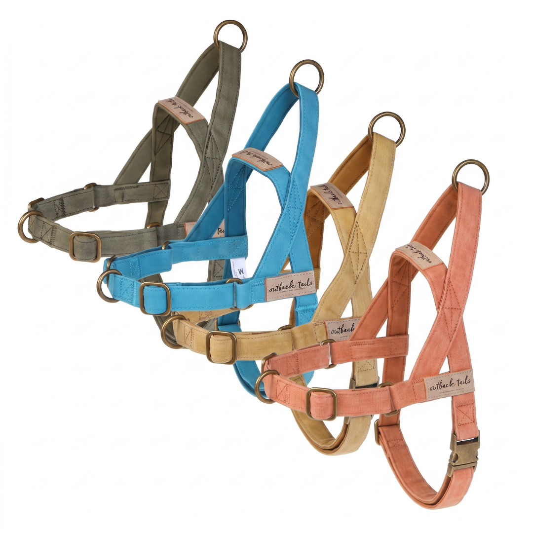 Waxed Canvas Dog Harness