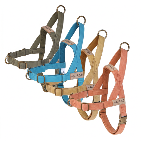 Waxed Canvas Dog Harness