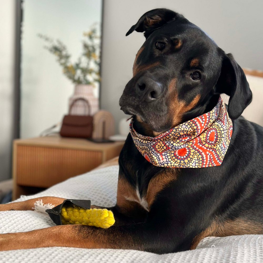 Dog Bandana - Snake Dreaming
