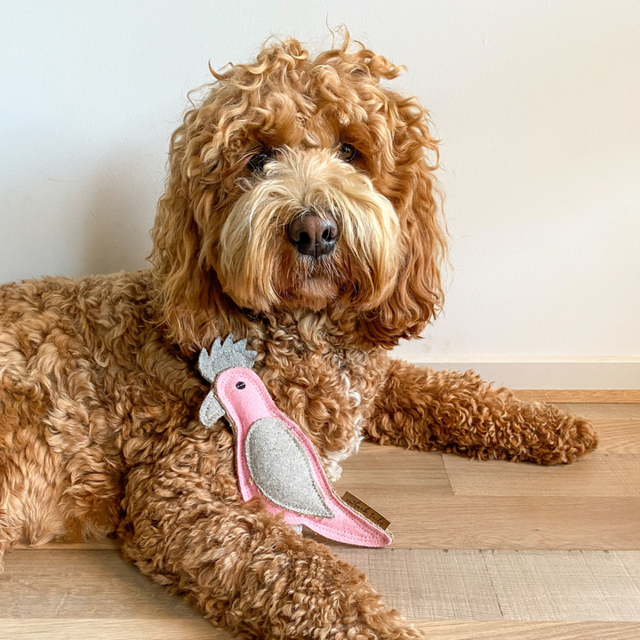 Outback Felt Toy - Gertie Galah