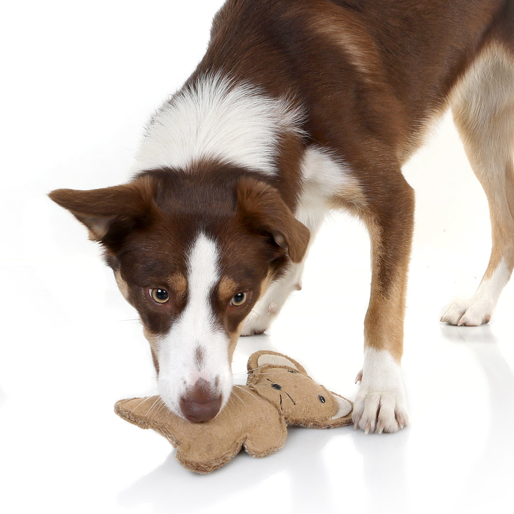 Country Tails Mouse Chew Toy