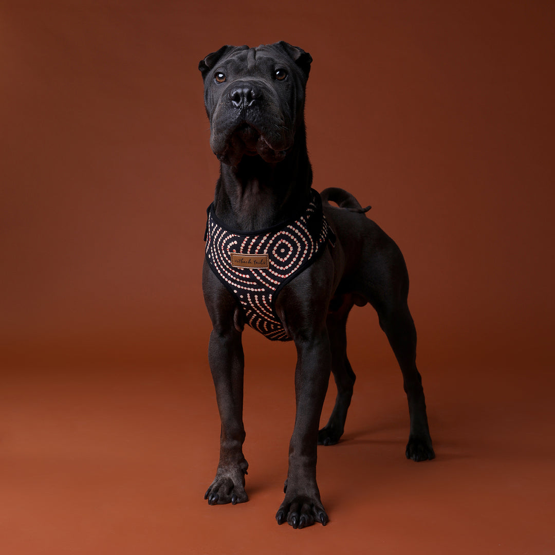 Canvas Dog Harness
