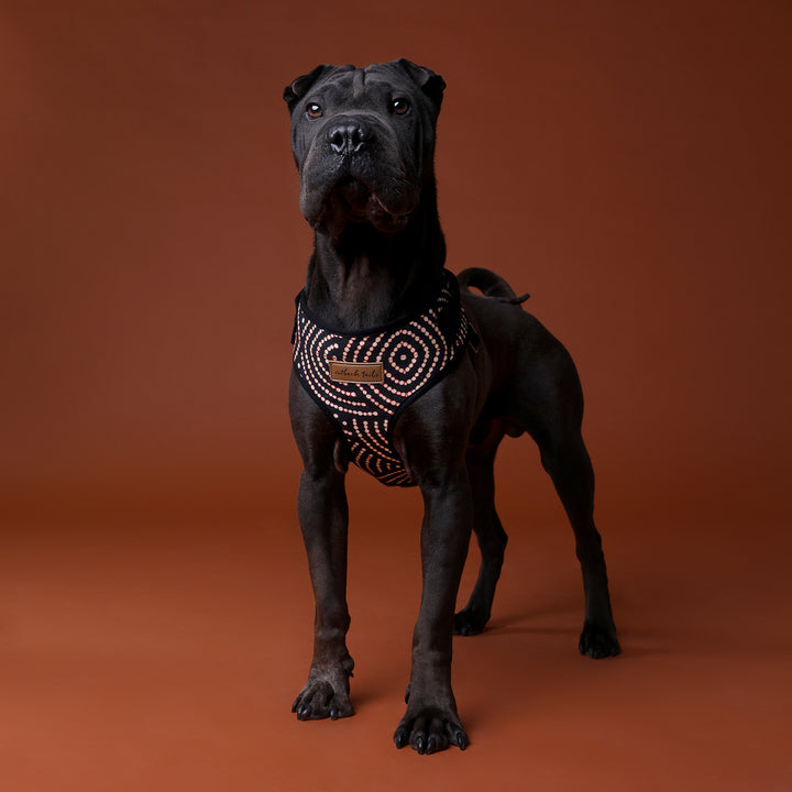 Canvas Dog Harness
