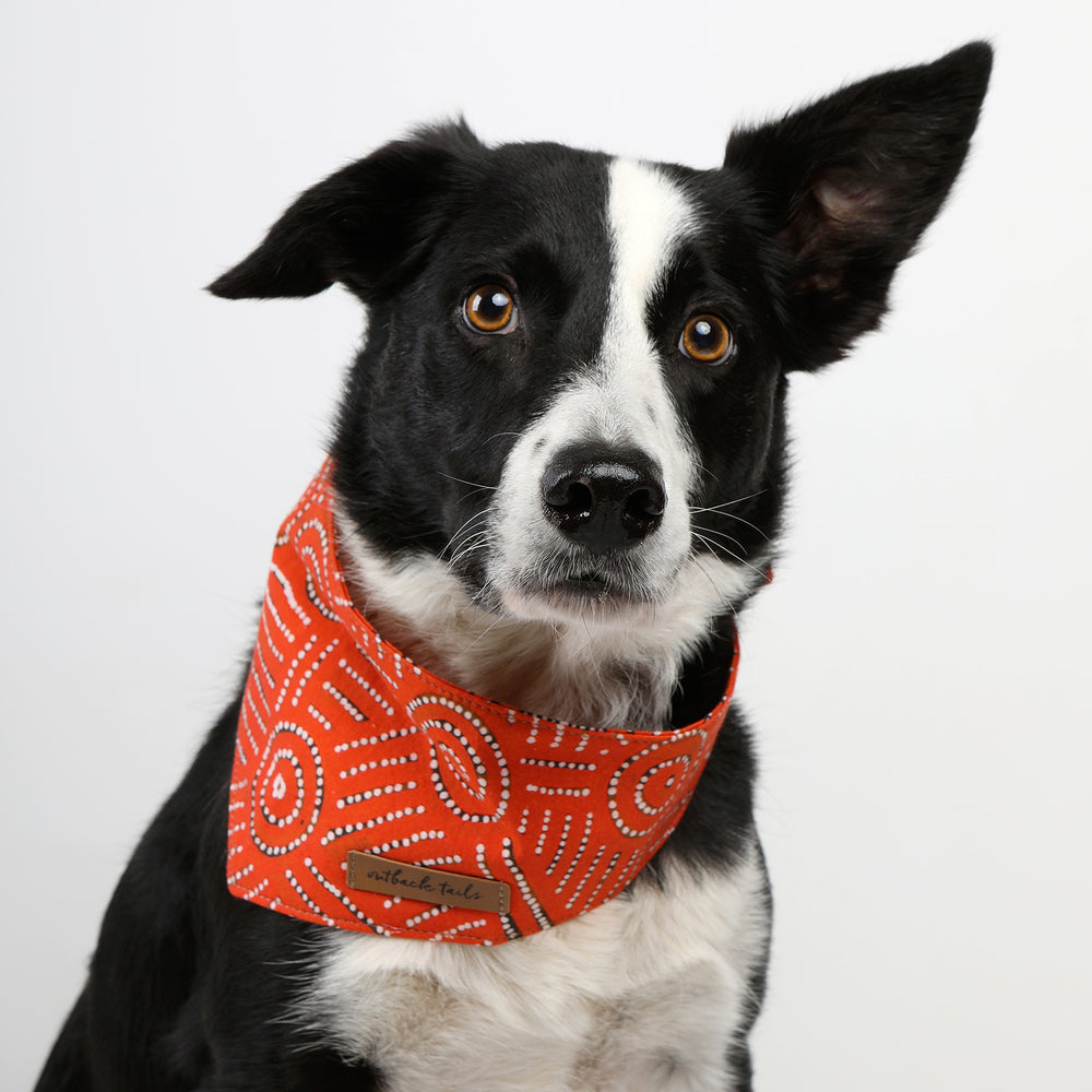 Dog Bandana - Water Dreaming