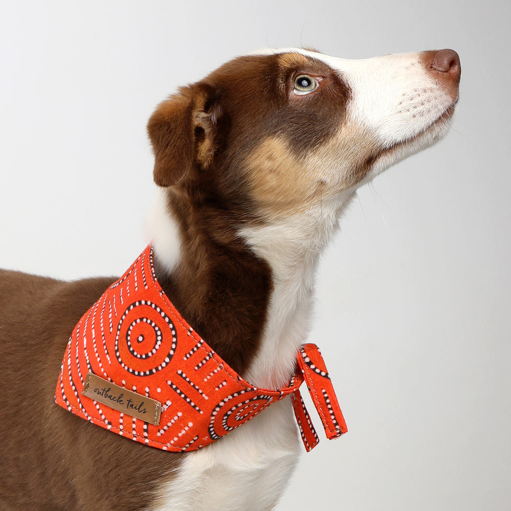 Dog Bandana - Water Dreaming