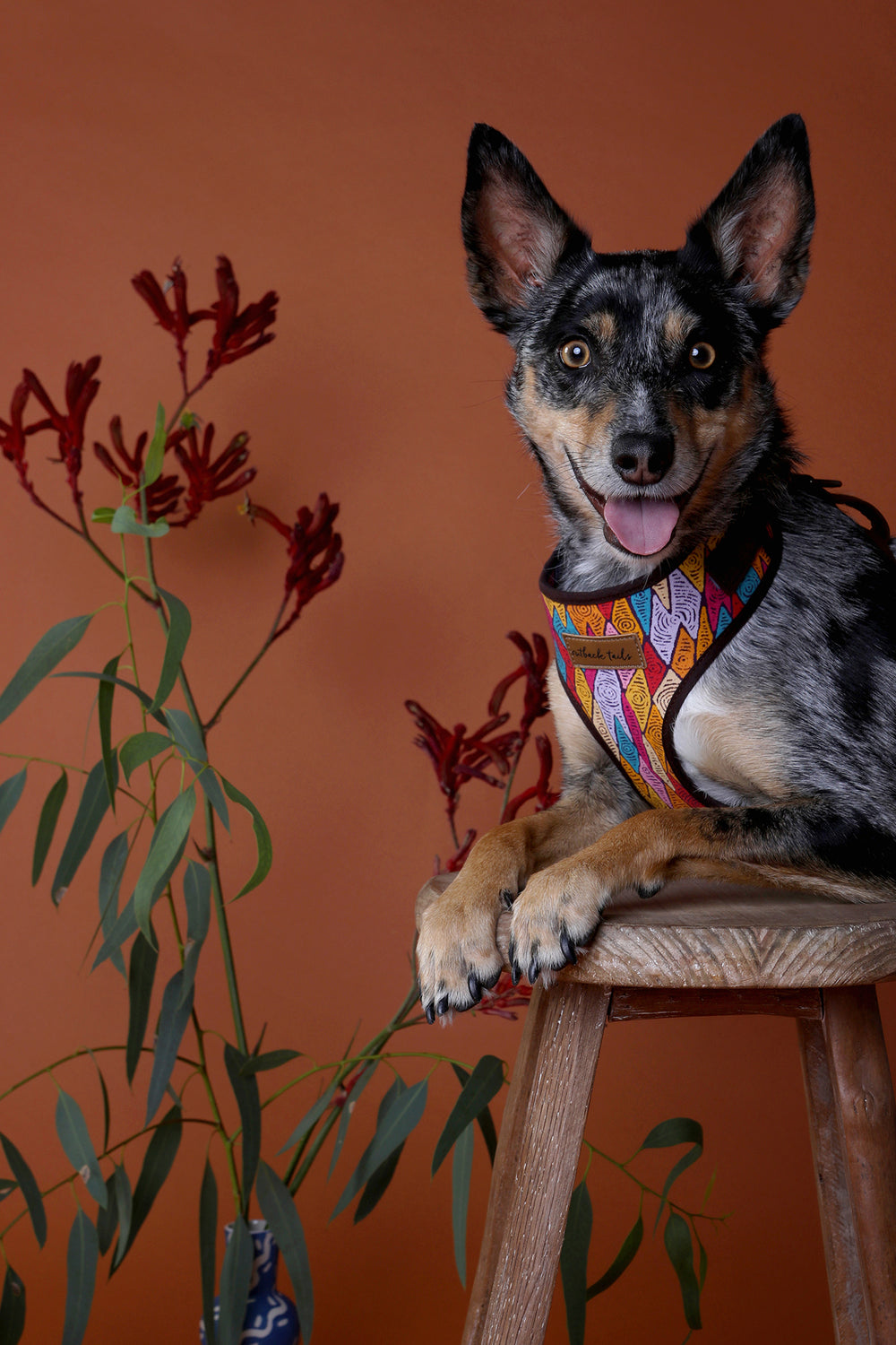 Canvas Dog Harness - Sand Dunes