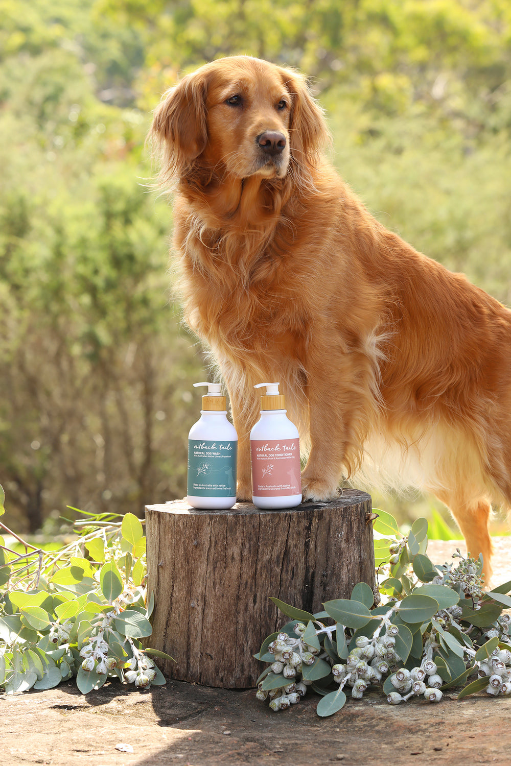 Natural Dog Conditioner
